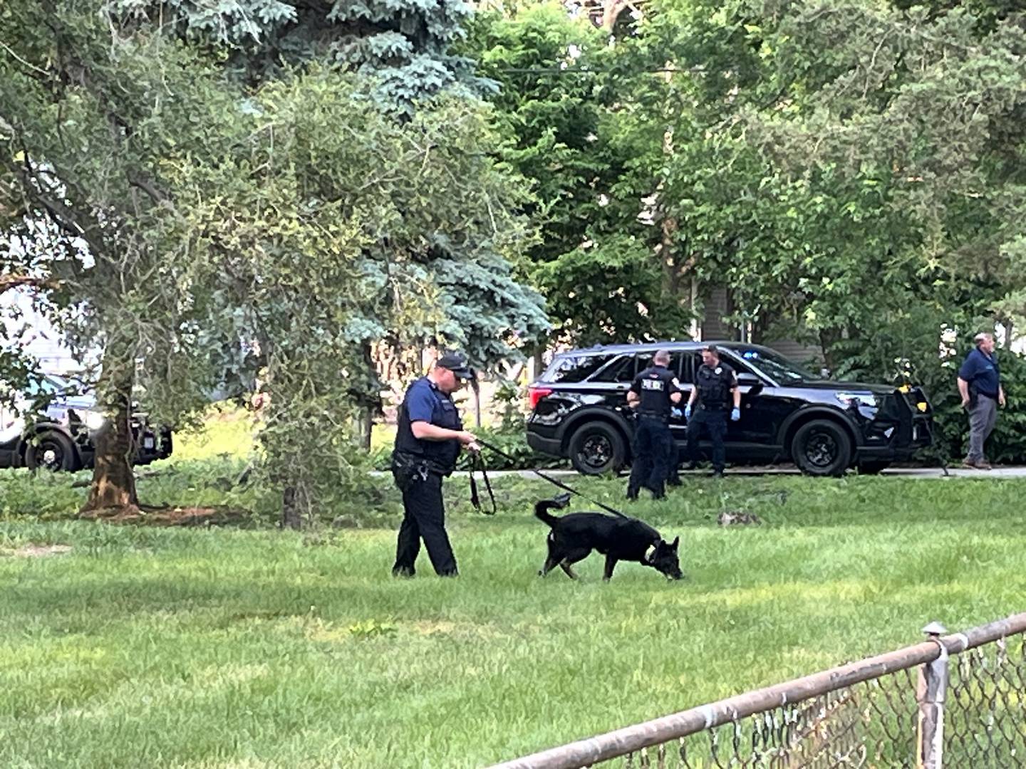 An officer canvassing an area with a K9 unit near the scene of the fatal shooting of a 13-year-old boy on Monday, June 2, 2025, in Joliet.