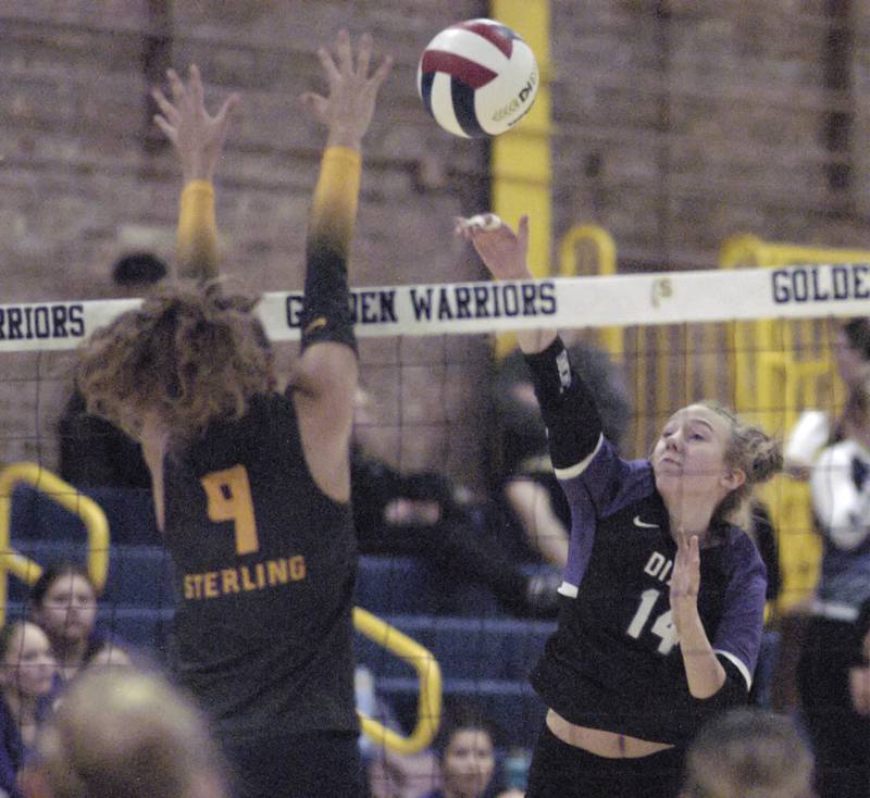 Dixon's Micki Worrell goes up against Sterling's  Megan Stutzke. Sterling hosted Dixon in Volleyball on August 26, 2025 at Musgrove Fieldhouse.