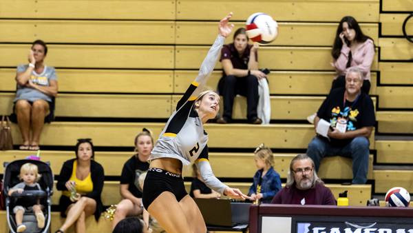 Meet the 2025 Herald-News Girls Volleyball All-Area Team