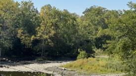 Thousands of dead fish wash up near Streator dam