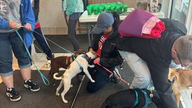Oswego cops and canines to come together for adoption event
