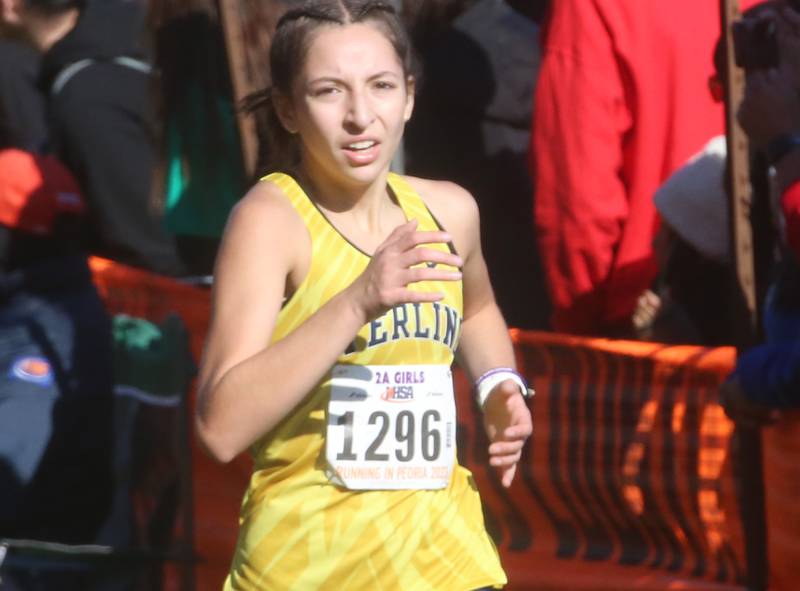 Sterling's Connie Ibarra competes in the Class 2A State Cross Country race on Saturday, Nov. 4, 2023 at Detweiller Park in Peoria.