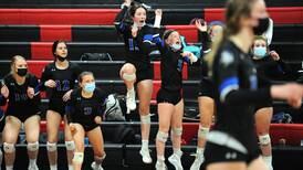 Newark is top seed for Little Ten volleyball tournament 