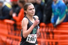 York sophomore Karlin Janowski is the Suburban Life girls cross country Athlete of the Year
