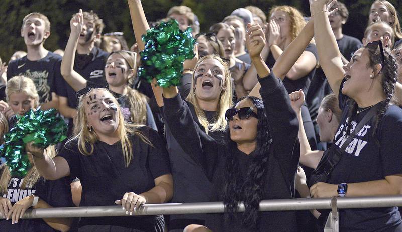 Seneca Irish fans cheer on their team after scoring against Marquette Friday at Marquette.