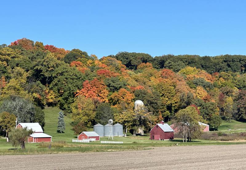 A view of a barn and fall colors along Route 29 just north of Putnam on Friday, Oct .20, 2023.