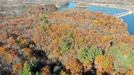 Listen: Illinois Valley’s 5 most-read stories this week, Dec. 21-27