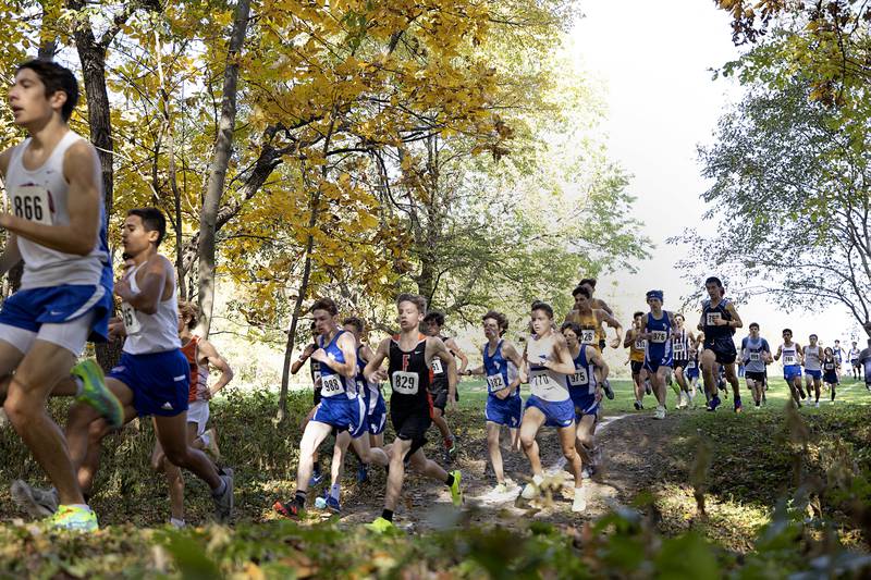 The boys run into the woods at Hoover park Saturday, Oct. 22, 2022 class 2A cross country regional in Sterling.