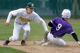 Photos: Hampshire vs. Crystal Lake South, FVC baseball