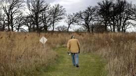 Election 2024: McHenry County Conservation District referendum narrowly passes