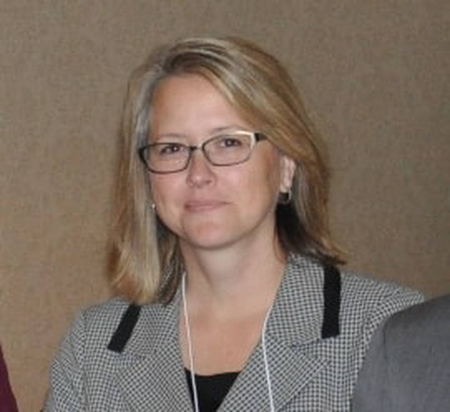 Kane County Court Services Executive Director Lisa Aust.