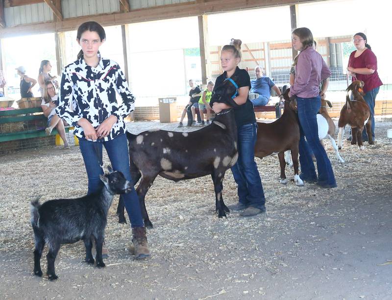 4-H kids show goats during the Marshall-Putnam 4-H Fair on Wednesday, July 20, 2022 in Henry.