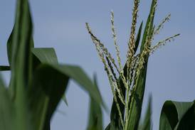 AFBF survey: Majority of U.S. farmers unable to meet fertilizer needs