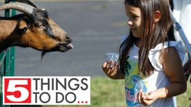 5 things to do in McHenry County: Marengo Settlers Day, Woodstock Rail Fest, Vintage Shop Hop