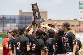 Baseball: Henry loses 8-0 to Gibault Catholic in Class 1A state title game