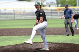 Dom Panozzo throws 2-hit, 17-strikeout shutout of Herscher to give Bishop McNamara regional crown