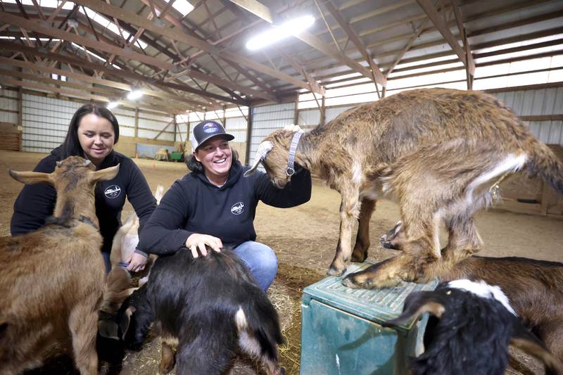 Didi Dowling, owner and executive director of Live, Learn and Lead, (right) and Cathy Best, executive director of programs, pet some of the goats Friday, March 31, 2023, at their barn in Hampshire.