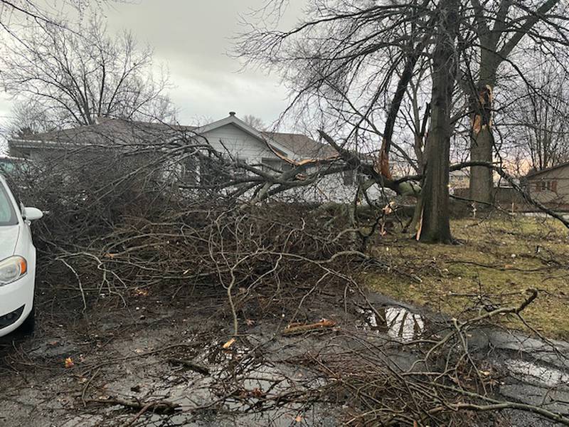Trees and branches are down all over Kankakee County after the storms on Tuesday, March 10, 2026.