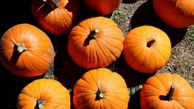 St. Mary Catholic Church in Byron’s trunk or treat is Oct. 25