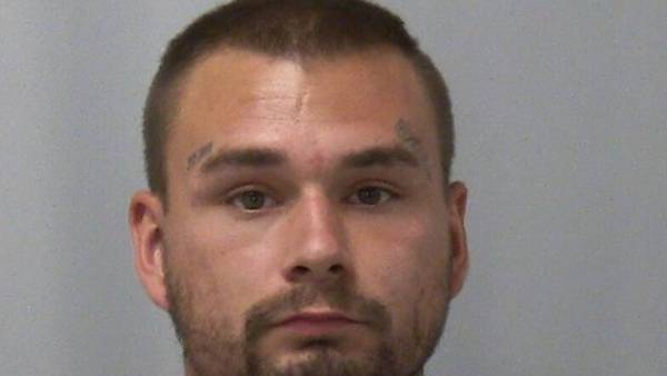 Dixon man charged with weapons offenses