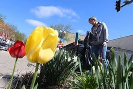 Ottawa Downtown Association wins State revitalization award