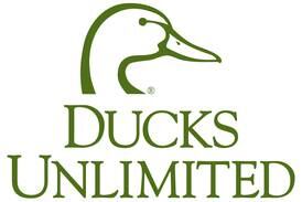 Shaw Local Radio Podcast: Talk-Line with Steve Marco interviews Dave Foy, Ducks Unlimited
