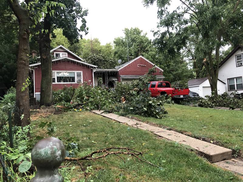 A tree down in Fox River Grove following the storm that rolled through at about 4 p.m. Saturday, Aug. 16, 2025.