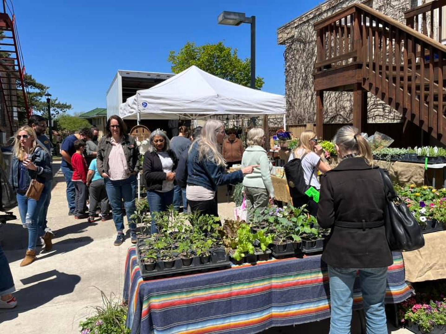 DeKalb's bi-annual Back Alley Market