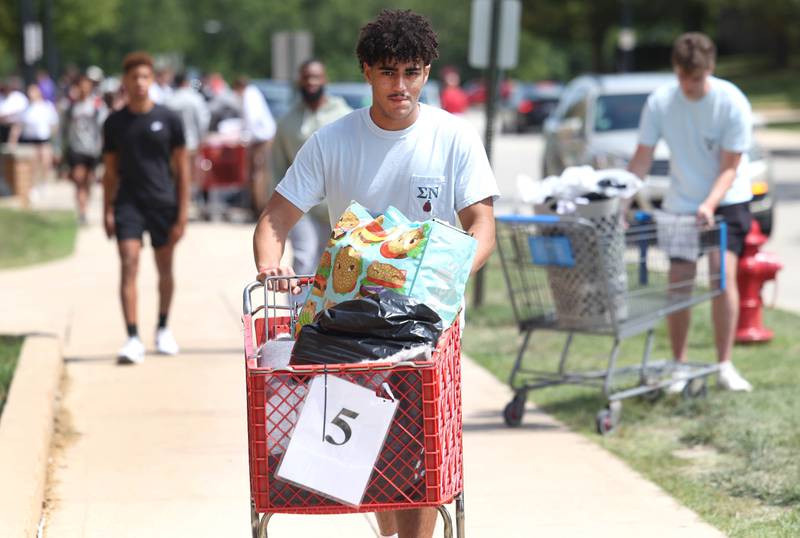Mekhi Dixon, a member of the Sigma Nu fraternity at Northern Illinois University, gives an incoming student a hand moving in Wednesday, Aug. 21, 2024, at Patterson Hall during the first of two move-in days for new students at NIU in Dekalb.