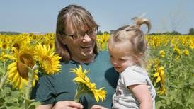 Photos: Matthiessen State Park sunflowers in full bloom