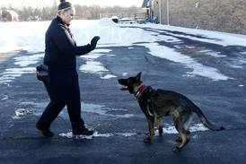 A first for McHenry County: Wonder Lake Fire Protection District getting search-and-rescue dog
