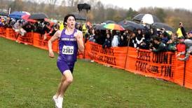 Downers Grove North boys dominate, run to repeat state championship