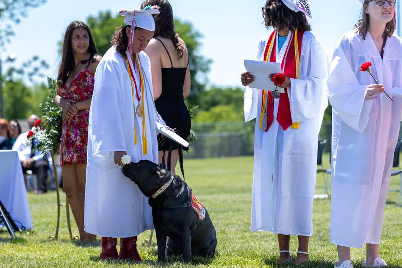 Jamie Valdez-Castaneda stands with service dog “Mango” on Sunday, May 18, 2025 at Hall High School in Spring Valley.