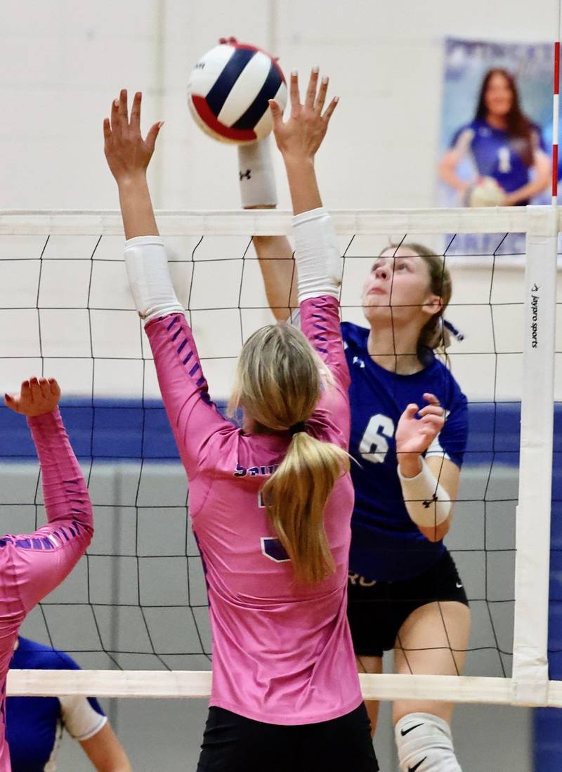 Princeton senior Caroline Keutzer takes a hit against Mendota's Harlow Foltnewicz Tuesday night at Prouty Gym. The Tigresses won 25-15, 25-12.