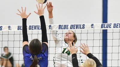 2025 Daily Journal girls volleyball preview capsules