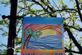 Yorkville launching sponsorship program to turn downtown light poles into pieces of art