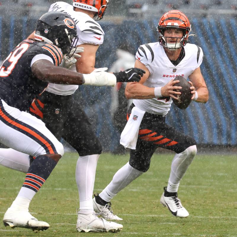 Former Northern Illinois University and current Cincinnati Bengals quarterback Rocky Lombardi rolls away from pressure in a heavy rain while making his NFL debut Saturday, Aug. 17, 2024, at Soldier Field in Chicago. Lombardi checked in during the second half of a 27-3 loss to the Chicago Bears. Lombardi is competing for a roster spot with the Bengals.