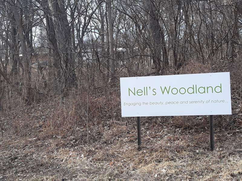 Construction can be scene from Route 23 behind a Nell's Woodland sign in Ottawa.