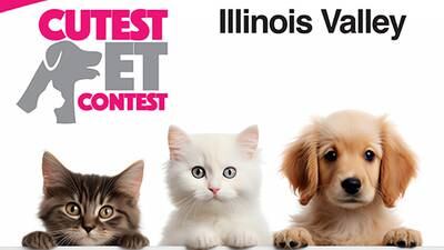Vote in the Illinois Valley Cutest Pet Contest 2024