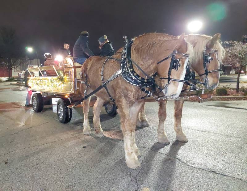 A horse drawn carriage provided visitors with rides Saturday, Dec. 16, 2023, around City Park during Light Up Streator's inaugural Christmas in the Park event.