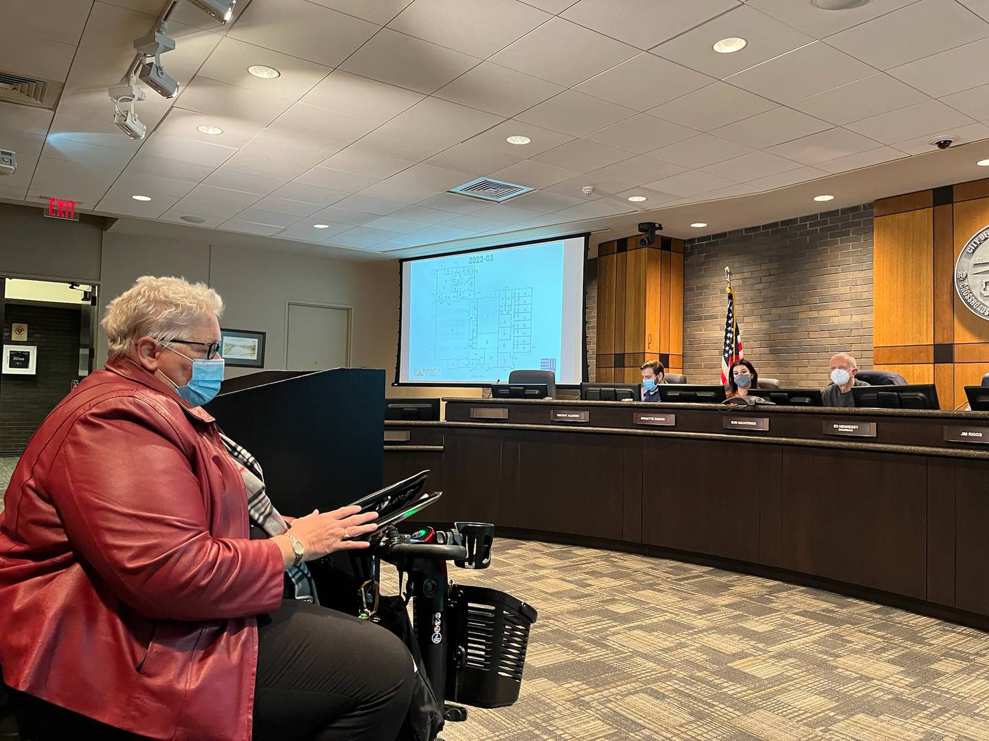 MorningStar Mission Executive Director Sandi Perzee addresses the Joliet Zoning Board of Appeals on Thursday, Jan. 20, 2022.