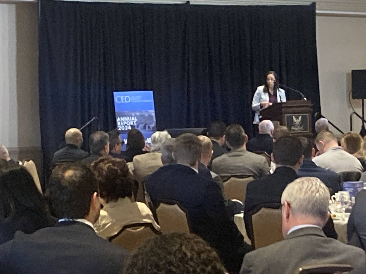 Intersect Illinois CEO Christy George speaks at the Will County Center for Economic Development's annual report breakfast at the Bolingbrook Golf Club on Dec. 6, 2024.