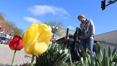 Photos: Ottawa Downtown Association hosts Operation Clean Sweep 