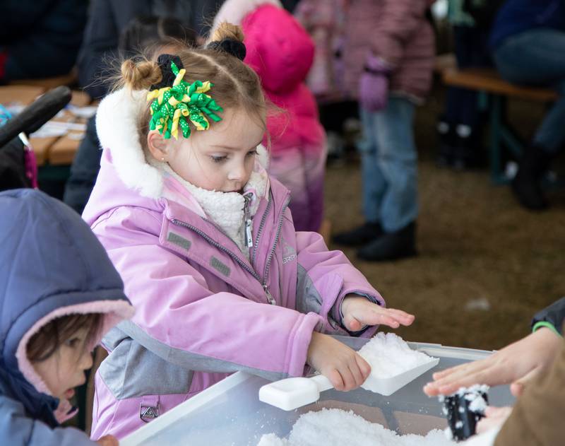 Ashley, 6, of Winfield plays with fake snow in the craft tent during the Wheaton Park District's Ice-A-Palooza at the Central Athletic Complex in Wheaton on Saturday, Feb. 4, 2023.