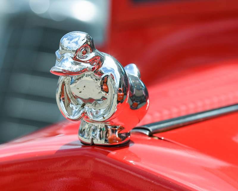 A duck hood ornament sits on a 1929 Ford Sedan Delivery at the Turning back time car show on Sunday July 27, 2025, held in Downtown Sycamore.