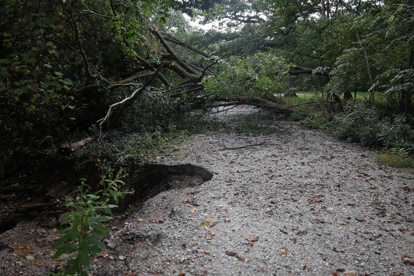 Woodland Memorial Park II entrance remains close due to heavy rains causing road erosion and a downed tree on Tuesday, Sept. 26, 2023 in Joliet.