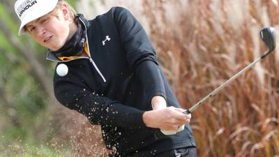 Here's a look at the Daily Chronicle all-area boys golf team