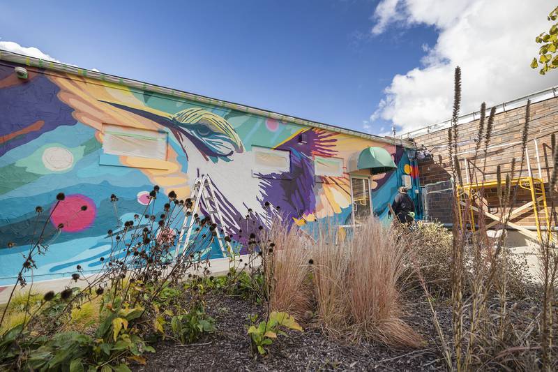 The hummingbird mural compliments the small plot of prairie planted in back of the building located at 309 First Ave. in Rock Falls.
