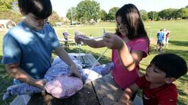 Photos: Last Straw in Westmont