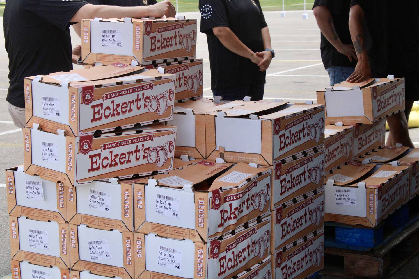 Illinois-grown peaches are stacked beneath a shade tent. Members of the U.S. Army Recruiting Station helped Kiwanis Club of Dixon to load the 22-pound boxes into cars during pickup on Thursday at Dixon High School.